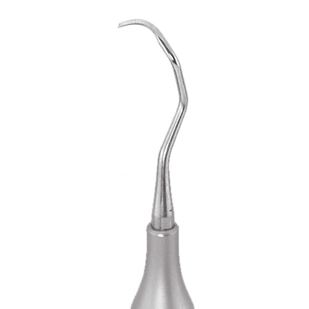 GDC Langer Curette 5/6 For Maxillary And Mandibular Anterior #6 (Sl5/6)