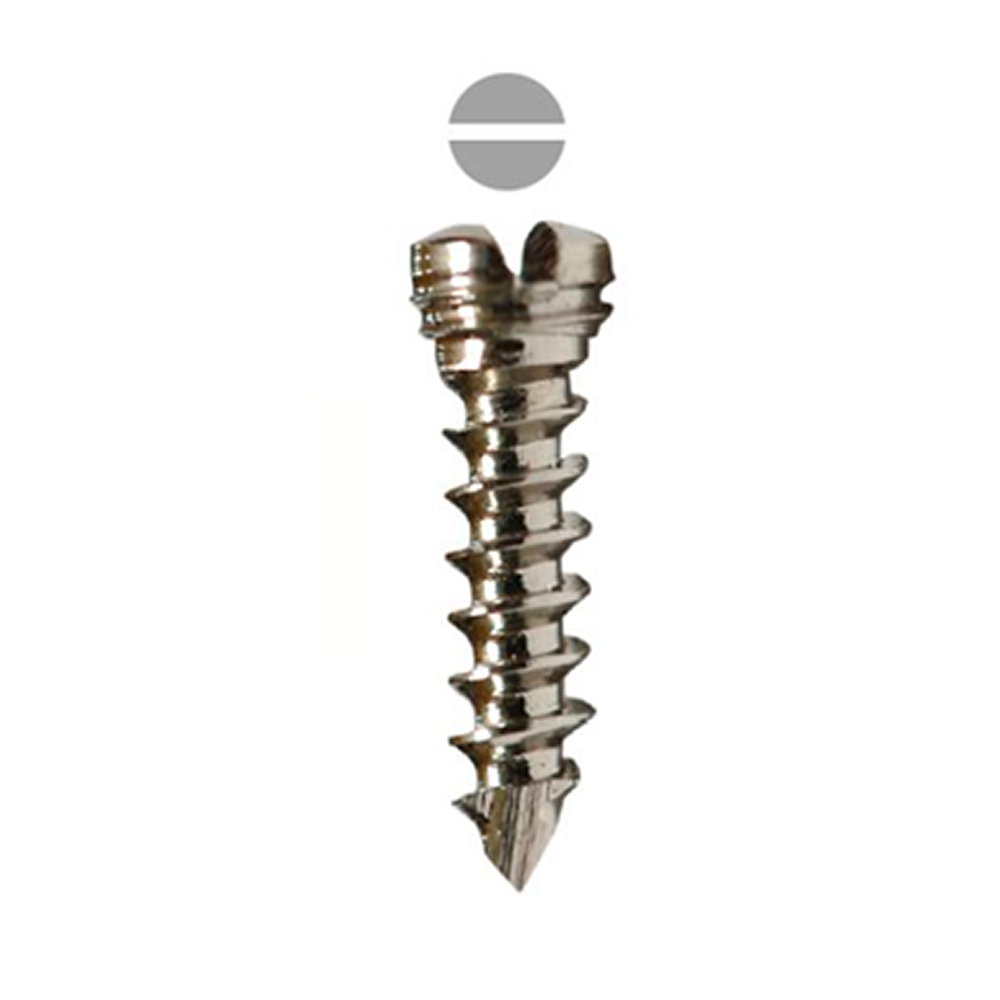SK Surgicals SS Locking Screws