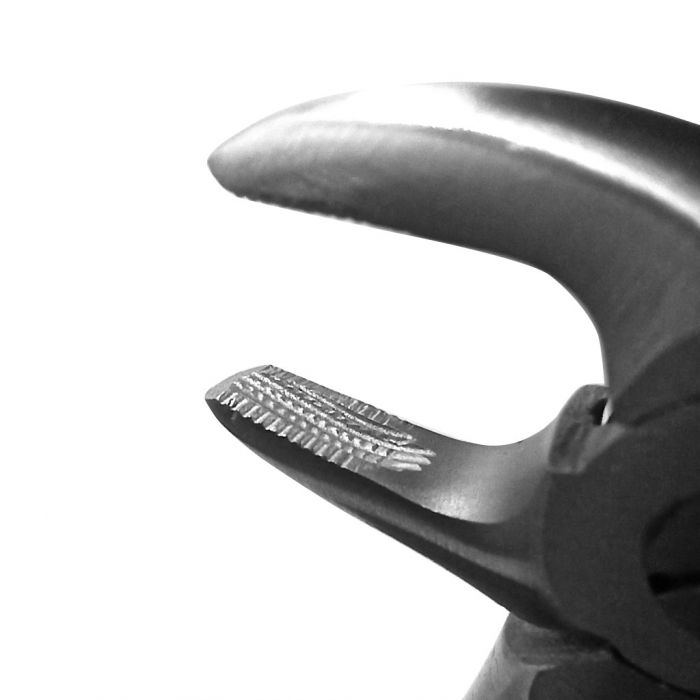 GDC Extraction Forceps Lower Premolars Pedo Standard (FX1CS)