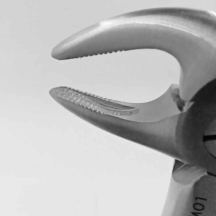 GDC Extraction Forceps Lower Roots - 33 Premium (FX33P)