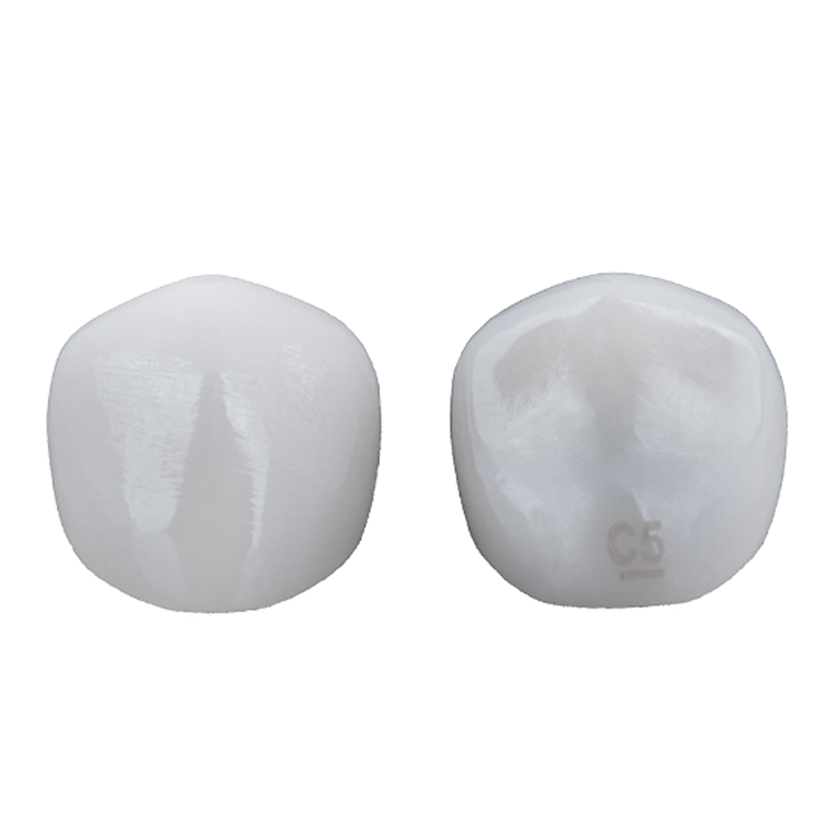 Kids-e-Crown Zirconia Universal Lower Canine 5 - LC5