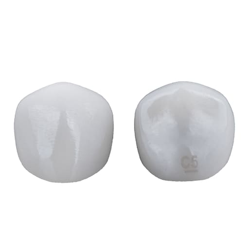 Kids-e-Crown Zirconia Universal Lower Canine Refills
