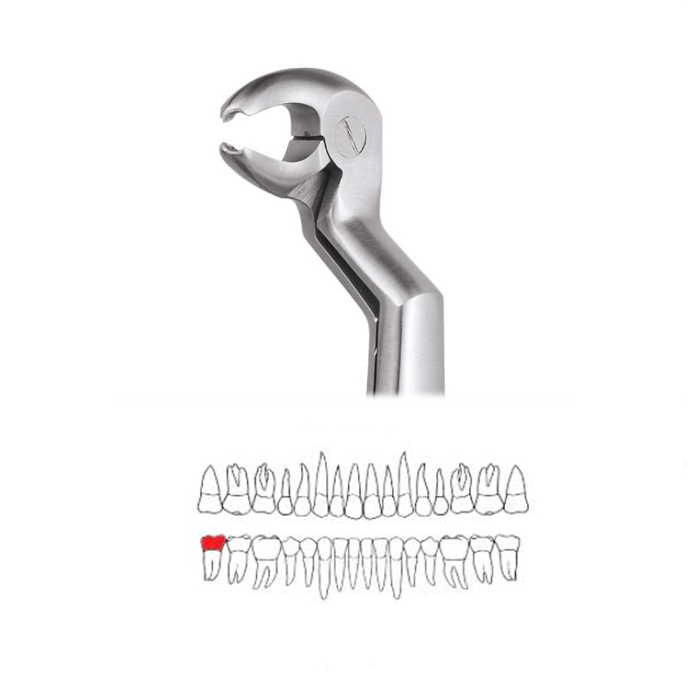 GDC Extraction Forceps Lower Molar And Wisdom Left-22 1/2l Premium (FX221/2LP)