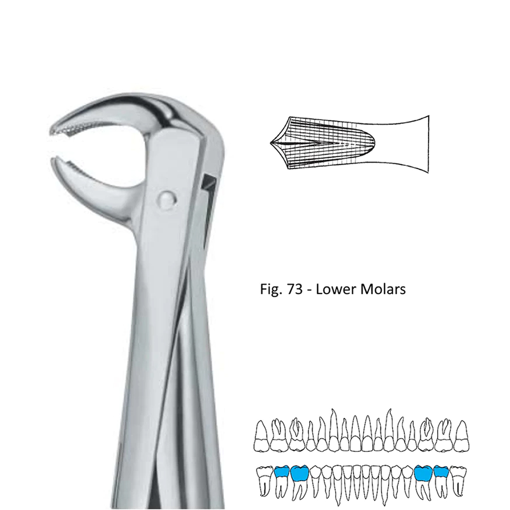 GDC Extraction Forceps Lower Molars - 73 Premium (FX73P)