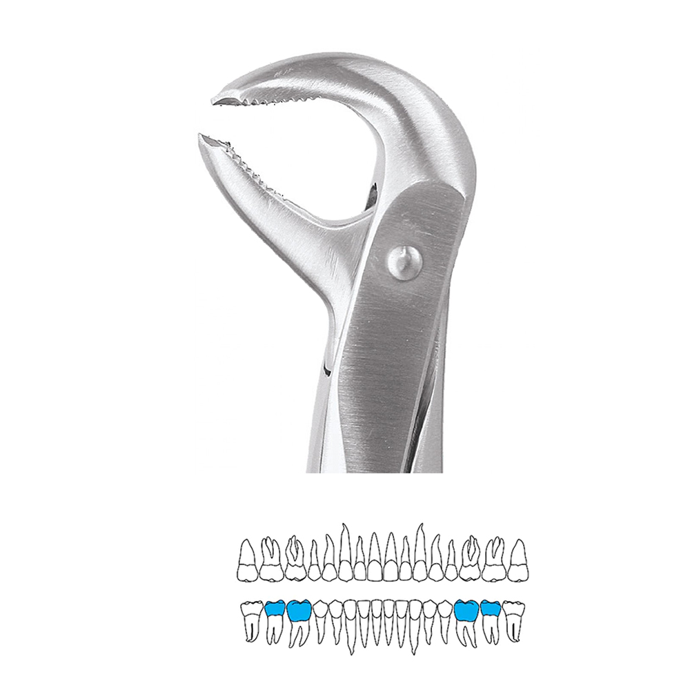 GDC Extraction Forceps Lower Molars - 73 Ergonomic (Fx73e)