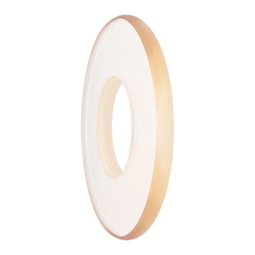 Waldent Backscatter Shield for V- Light Eco Gold DC X-Ray Machine