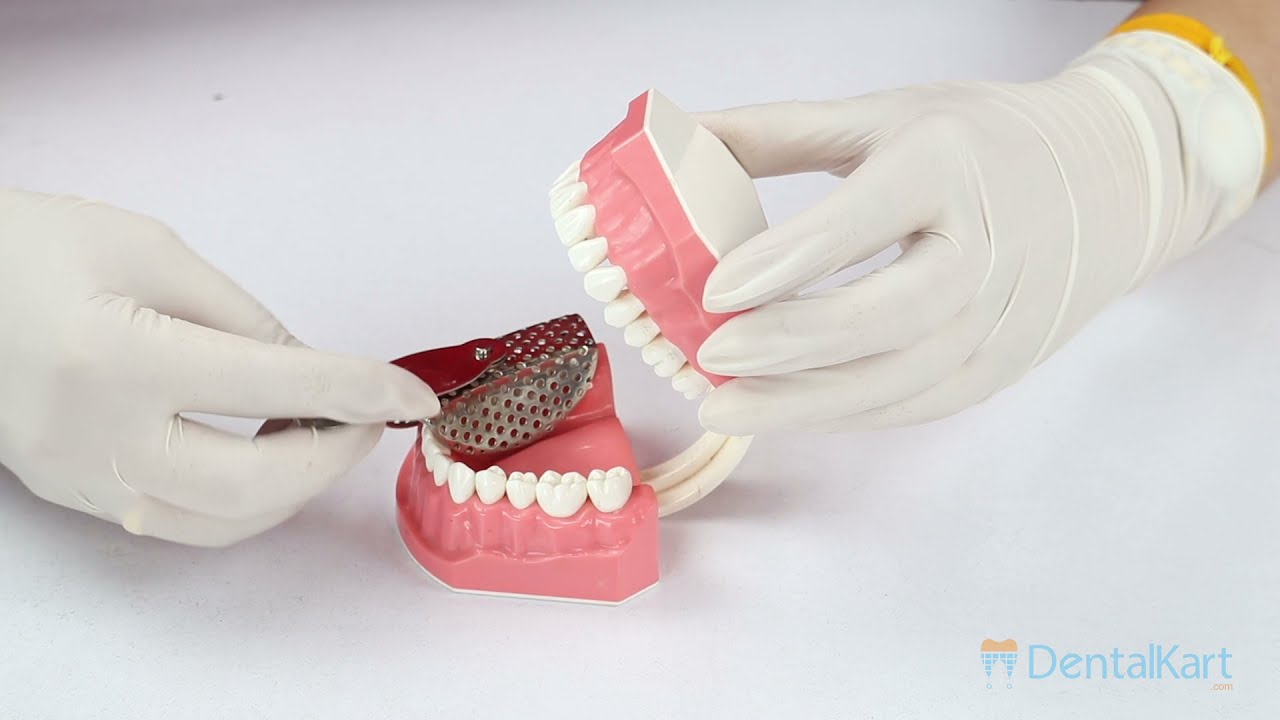 GDC Adjustable Dentulous Perforated (Itrldpa)