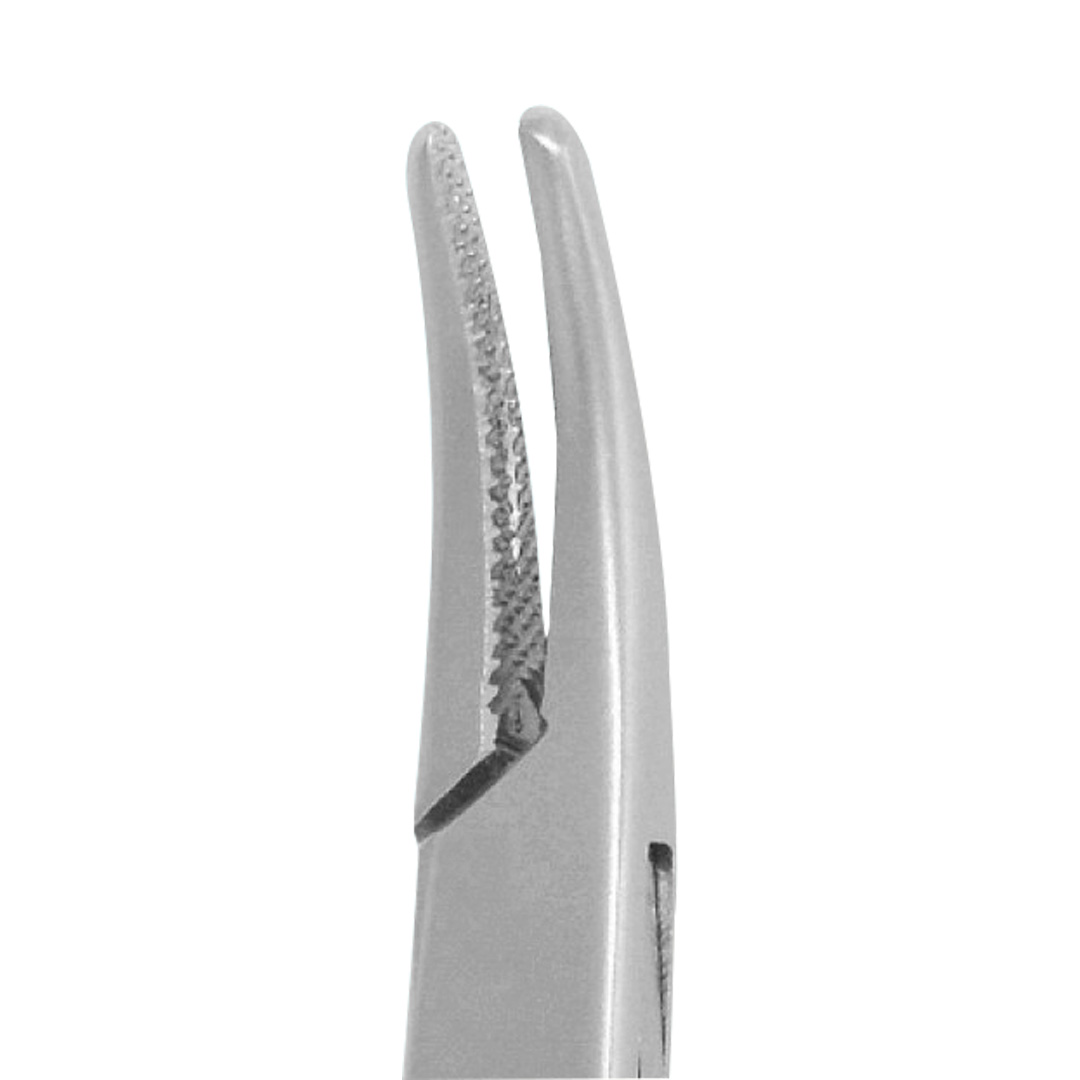 Waldent Needle Holder Mayo-Hegar 160mm #Curved (5/102)
