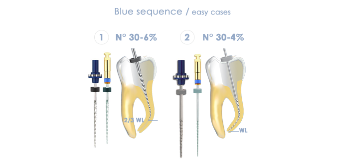 Micro Mega Hero Shaper Individual Classic Rotary Files