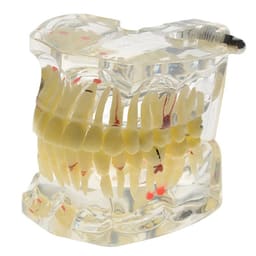 iDENTical Adult Pathologies Model M4001-1 - 4