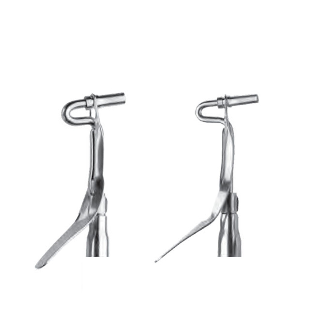 GDC Dental Amalgam Carrier Double Ended - Mini/Regular (AC5201)