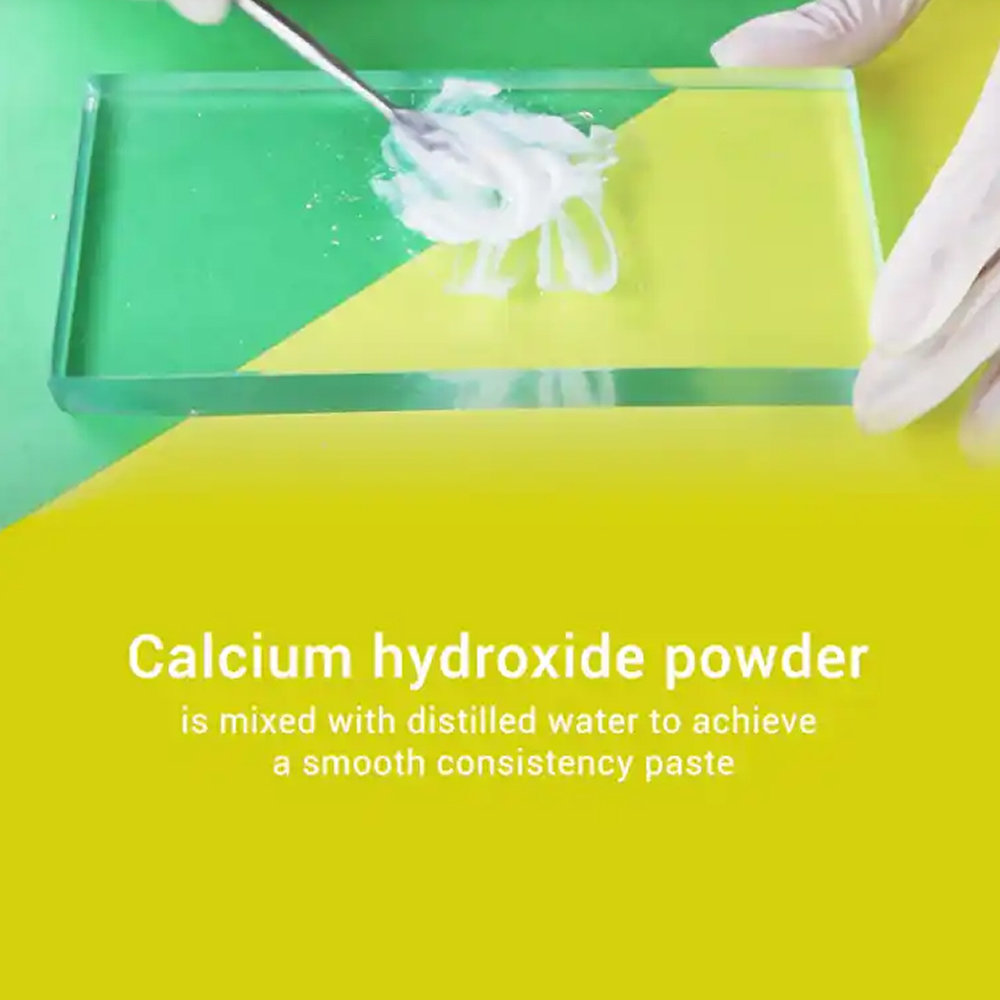 Prime Dental Temporary Filling Calcium Hydroxide Powder 10g Bottle