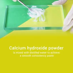 Prime Dental Temporary Filling Calcium Hydroxide Powder 10g Bottle - 2