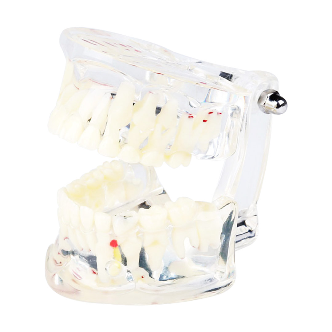 IDENTical Paediatric Model with Pathologies M4002 