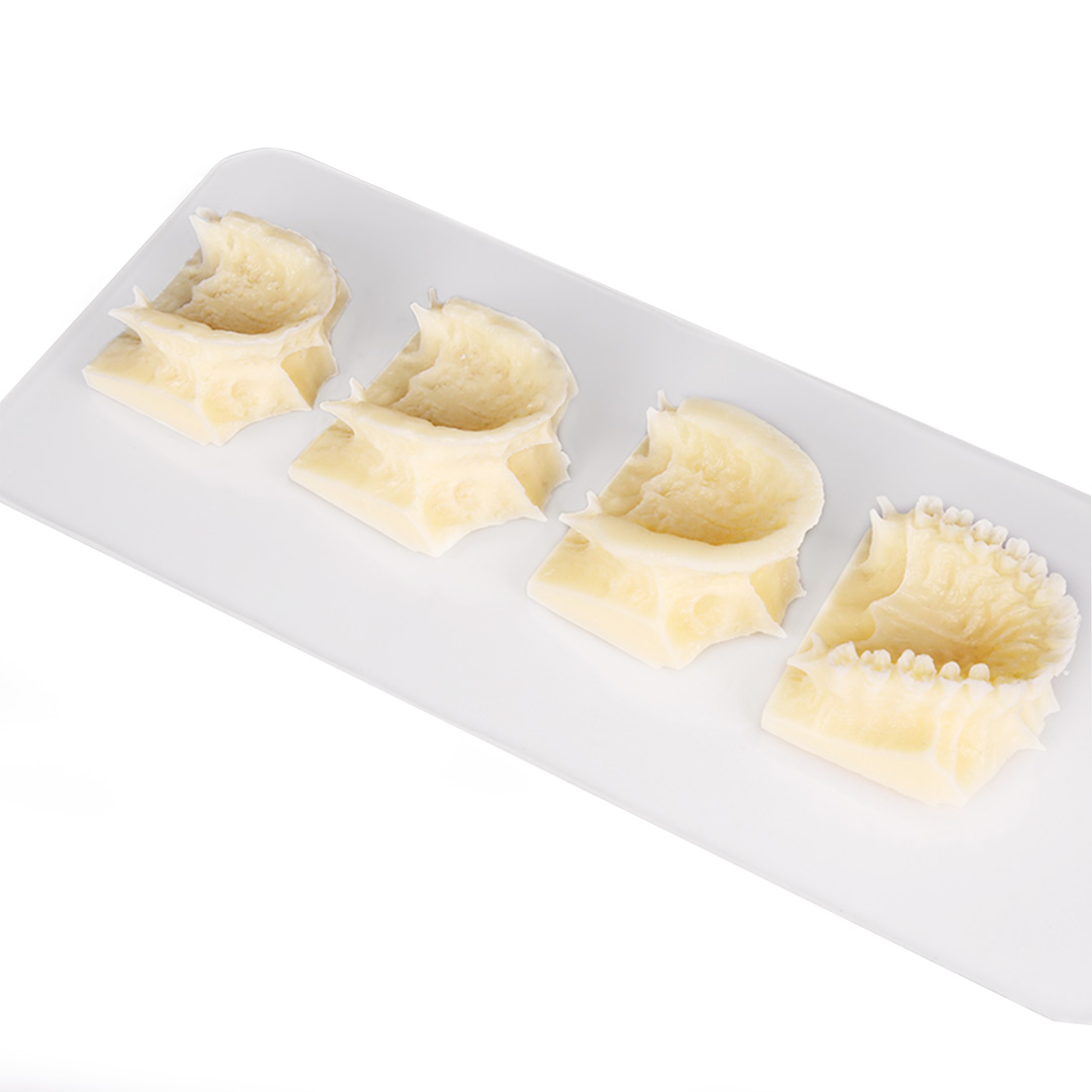 iDENTical The Development of Upper & Lower Jaw Models