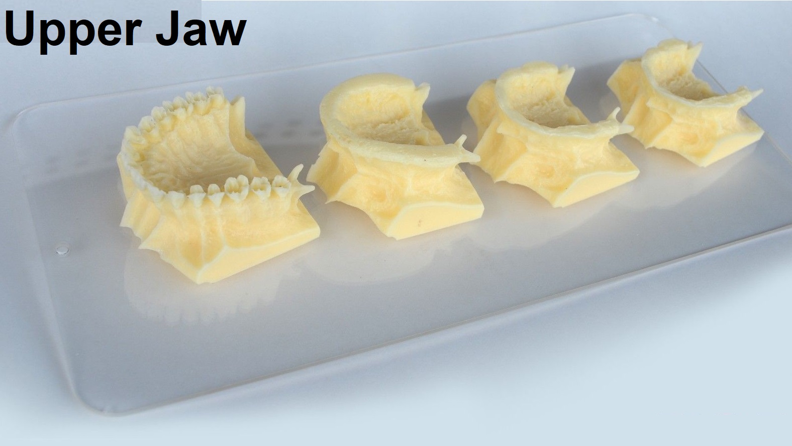 iDENTical The Development of Upper & Lower Jaw Models