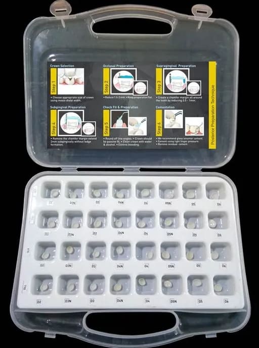 Kids-e-Crown Zirconia Upper Right 1st Molar Refills