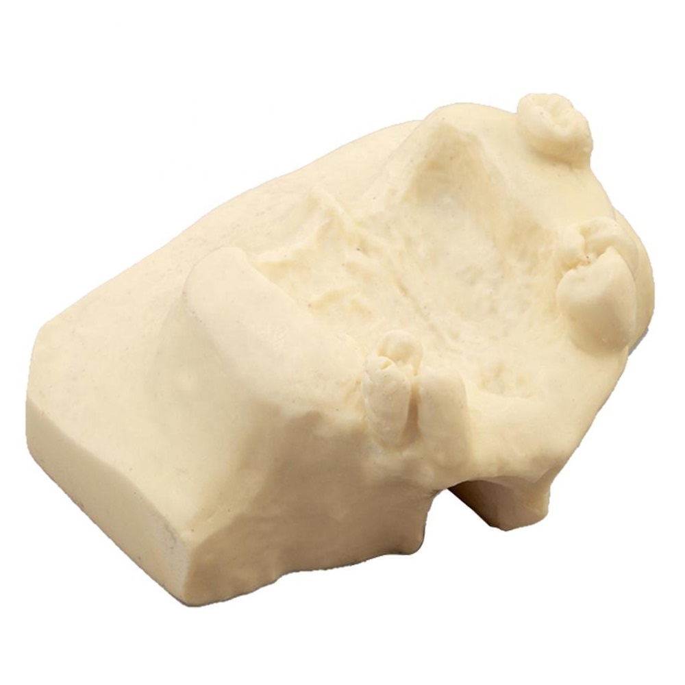 iDENTical Sinus Lift Practice Model M2013F