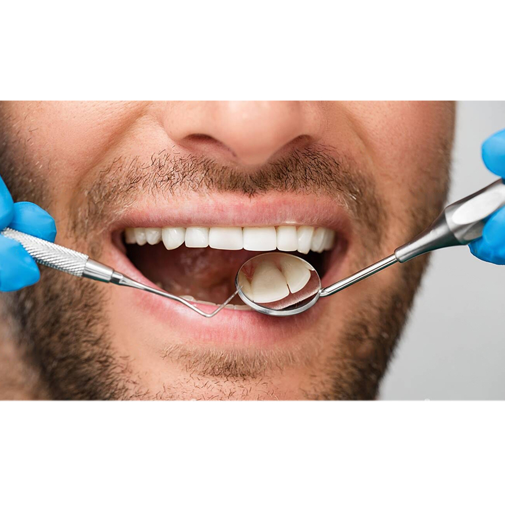 Waldent Mouth Mirror Handle (Hollow Hex) 13/111