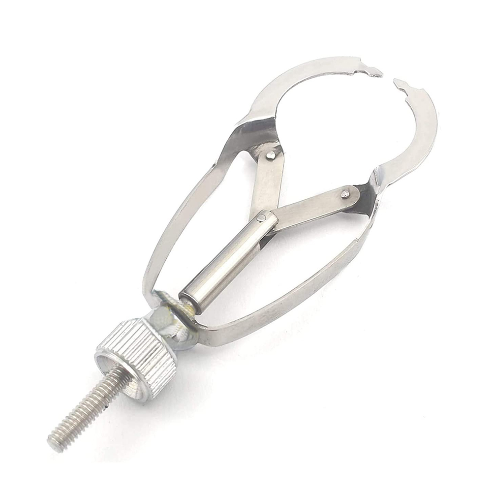 GDC Ivory Retainer (Mri)