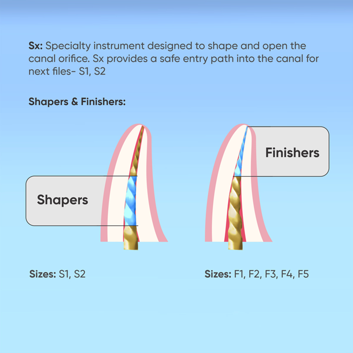 NeoEndo Neotaper NiTi Rotary Files 21mm