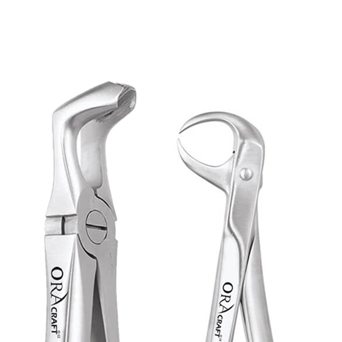 Oracraft Extraction Forceps