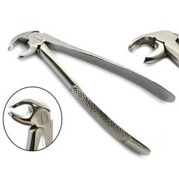 GDC Extraction Forceps Lower Molars - 22 Standard (FX22S)
