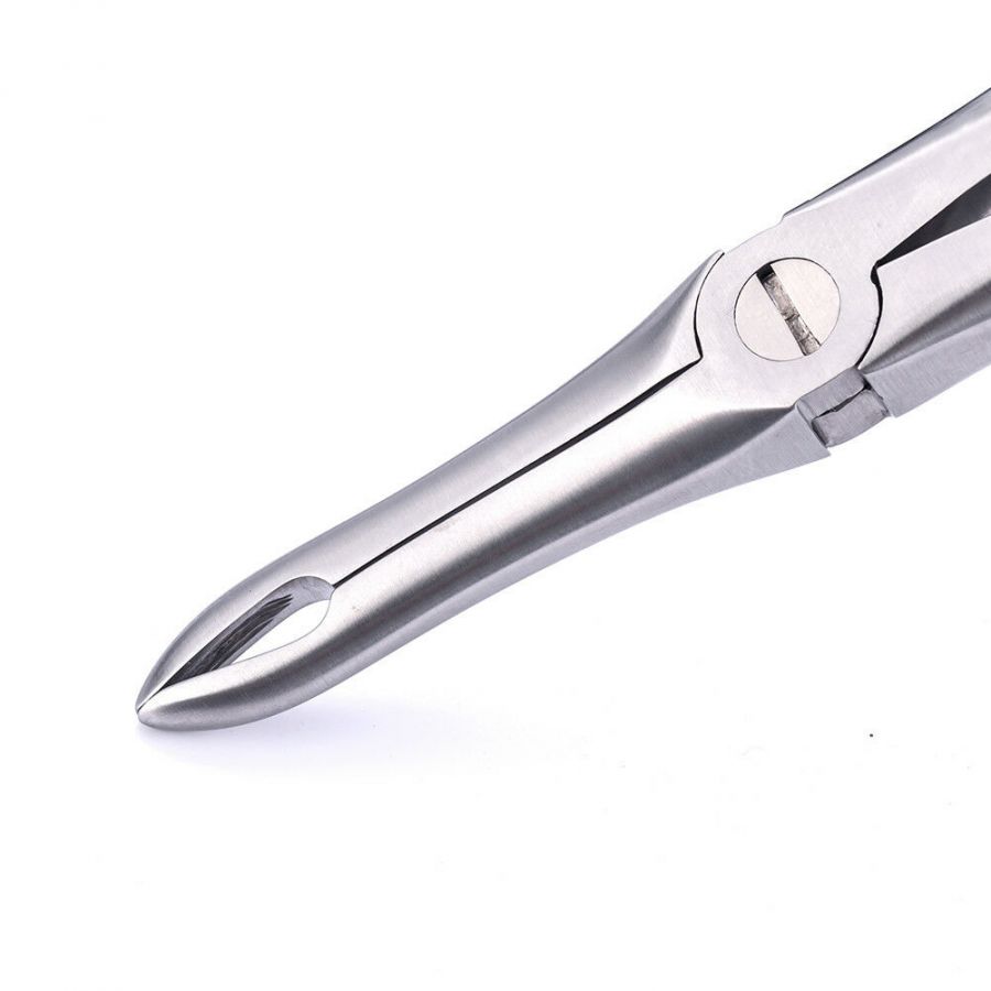 GDC Extraction Forceps Upper Roots - 41 Premium (FX41P)