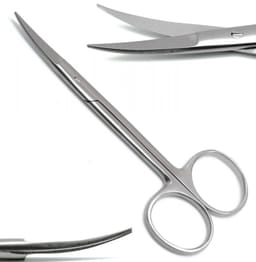 GDC Scissors Iris - Curved (11.5cm) (S18) - 2