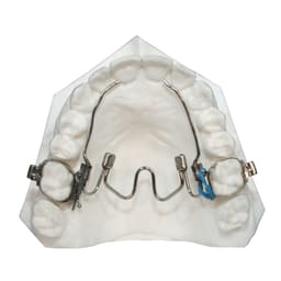 Ortho 