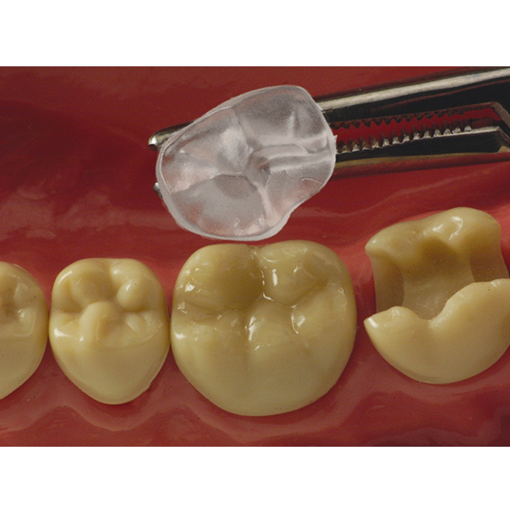 Hn Dental Occlu Stamp