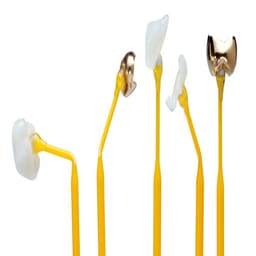 Ivocla