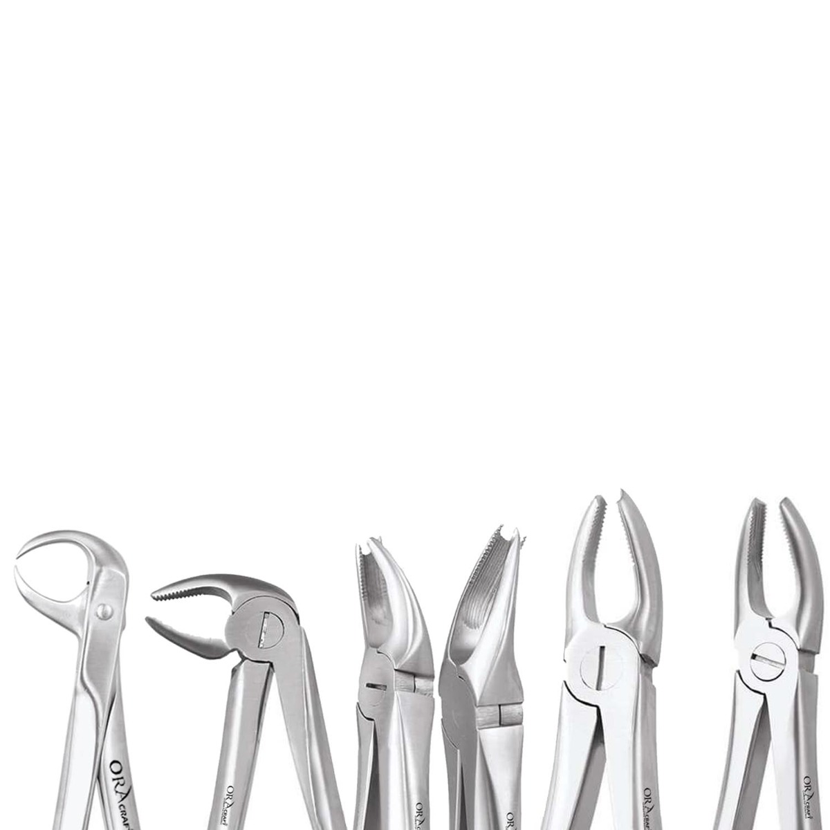 Oracraft  Extraction Forceps Premium