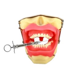 iDENTical Oral Local Anaesthesia Training Model M8020 - 3