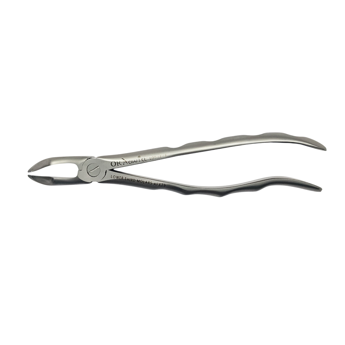 Oracraft Lower Third Molars Extraction Forceps - Atraumatic (AFX79)