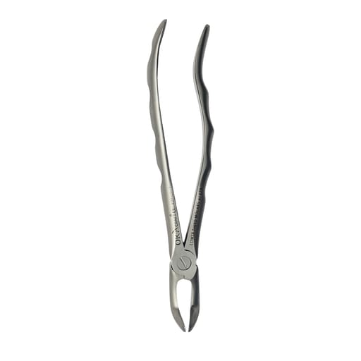 Oracraft Lower Third Molars Extraction Forceps - Atraumatic (AFX79)