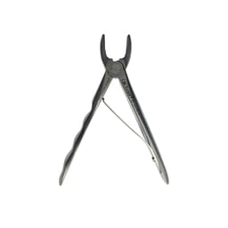 Oracraft Pedodontic Upper Anteriors Extraction Forceps - Premium (FX5CP) - 2