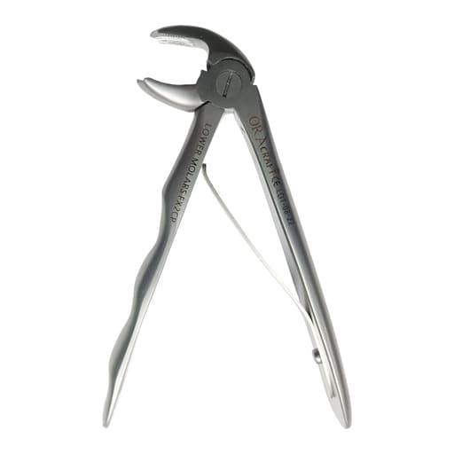Oracraft Pedodontic Lower Molars Extraction Forceps - Premium (FX2CP)