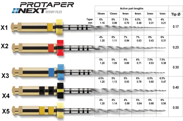 Dentsply Protaper Next Rotary Files Refill - 21mm