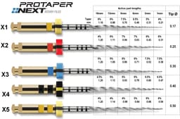 Dentsply Protaper Next Rotary Files Refill - 21mm - 4