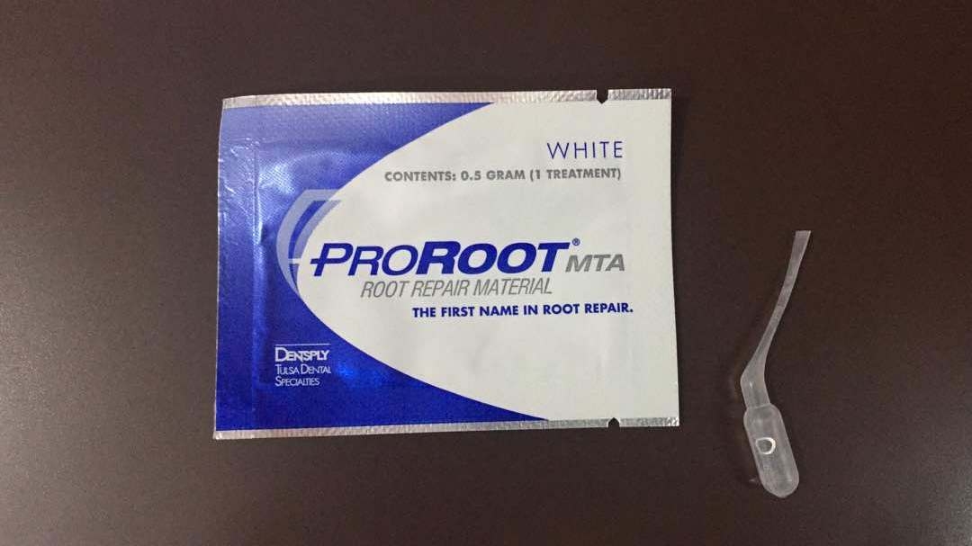 Dentsply Proroot MTA 0.5 Gm