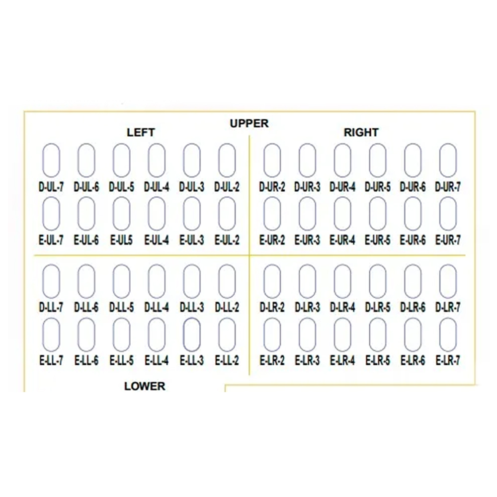 Oro SS Little Crown Primary Molar Kits