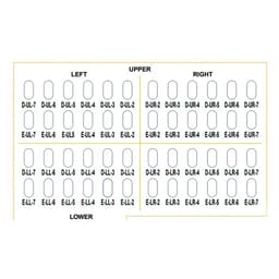 Oro SS Little Crown Primary Molar Kits - 6