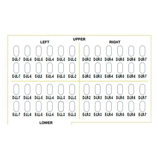 Oro SS Little Crown Primary Molar Kits