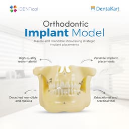 iDENTical Orthodontic Implant Model - M2016 - 8