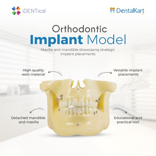 iDENTical Orthodontic Implant Model - M2016