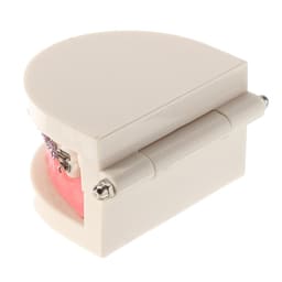 Patient Education Model With Orthodontic Brackets MD-119 - 10