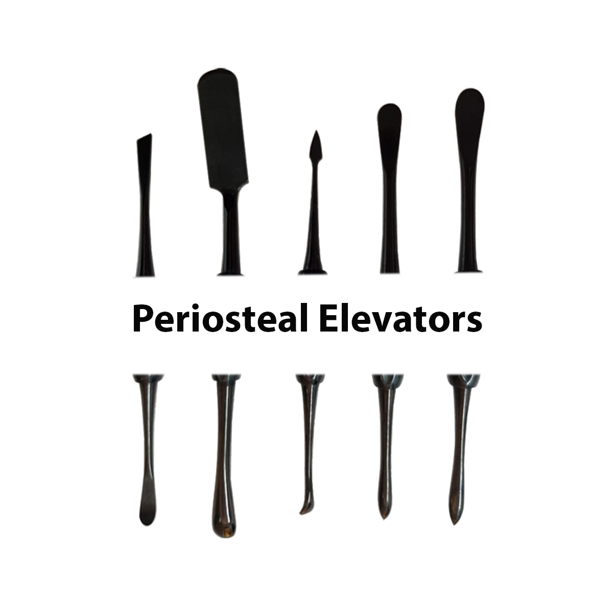 Julldent Periosteal Elevators