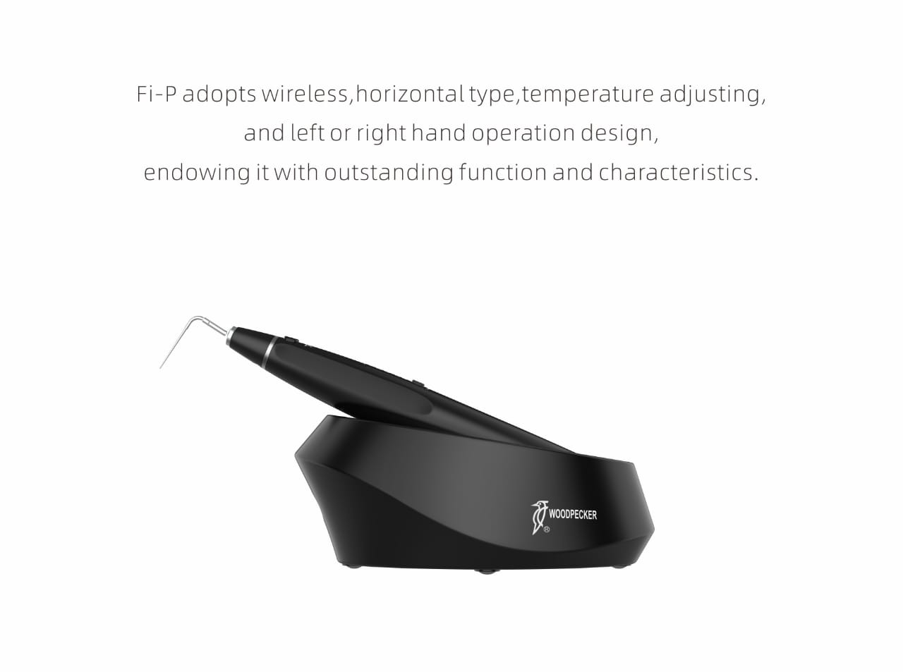 Woodpecker Obturation Pen System