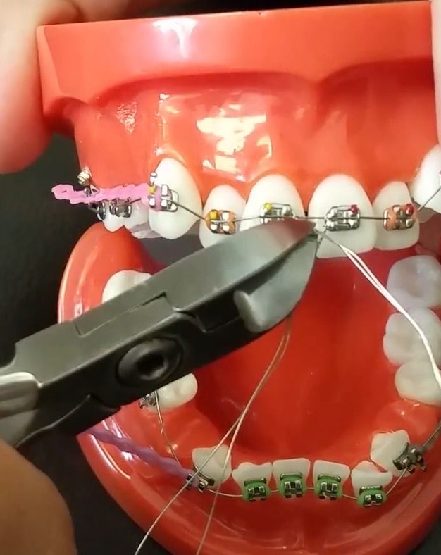 Waldent Pin & Ligature Cutter 15° TC 10/131	